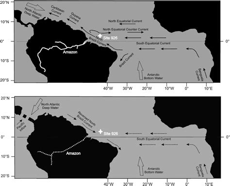 The Dragons Tales The Influence Of The Amazon River On The Miocene