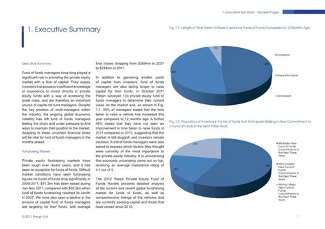 1 Executive Summary Sample Pages Docslib
