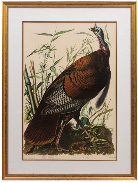 lot john james audubon american 1785 1851
