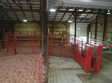 The beauty of these barn designs is that they are fairly open leaving you many options. 807 Best images about Cattle on Pinterest | Show steers ...