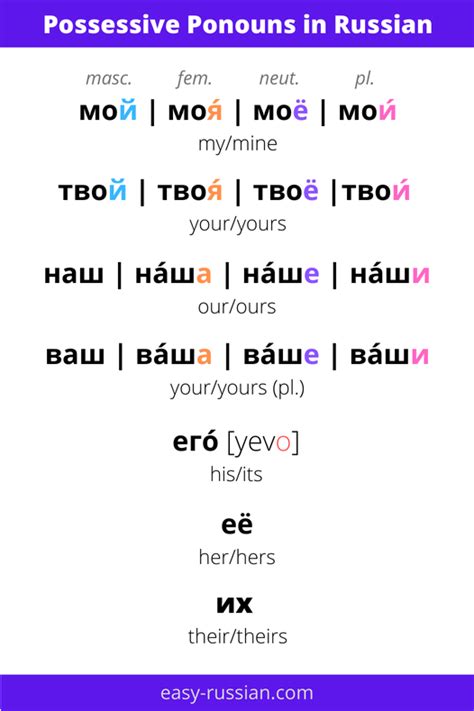 Possessive Pronouns And Adjectives In Russian Grammar