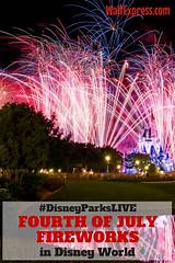 Disney Parks Live Pictures