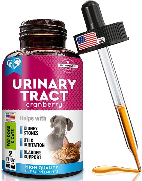 Cat And Dog Urinary Tract Infection Treatment And Natural Uti Medicine