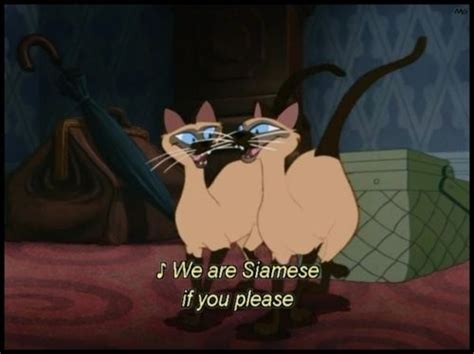 Siamese Cat Cartoon Movie Tamiakruwdillon