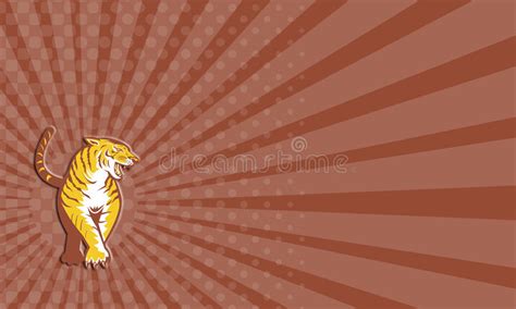 Business Card Tiger Prowling Retro Stock Illustration Illustration Of