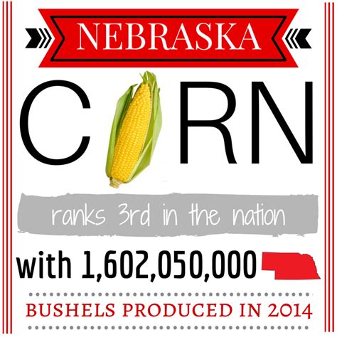 Nebraska Corn Kernels Thank You Nebraska Corn Board