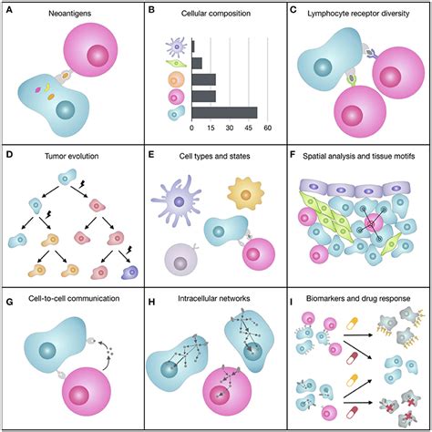 Frontiers Multi Omics Profiling Of The Tumor Microenvironment Paving