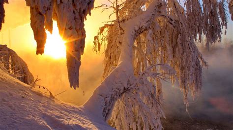 Wallpaper Sunlight Trees Snow Winter Sun Cave Wilderness