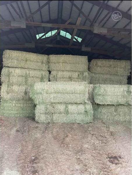 400 Bales Large Square Alfalfa For Sale In Alburnett Iowa