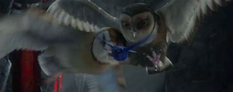 Zack Snyders Legend Of The Guardians The Owls Of Gahoole Full