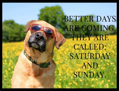 Better Days Are Coming Better Days Are Coming Favorite Quotes Wellness