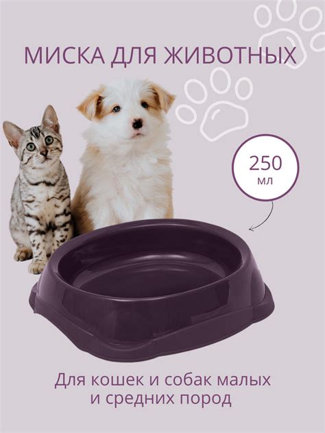 Миска для кошек, для собак, для котят DD Style / Кошачья миска / Чашка ...