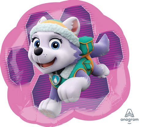 Paw Patrol Skye And Everest Foil Balloon Personalize It