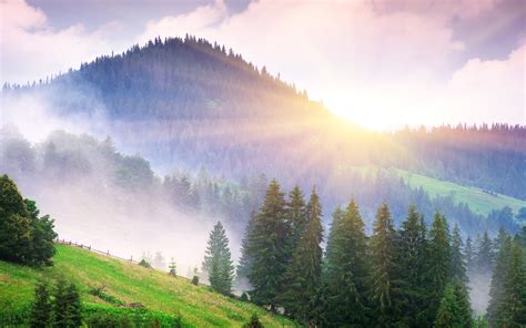 beautiful-morning-nature,-mountains,-fog,-dawn,-trees,-sun-rays-wallpaper-nature-and-landscape