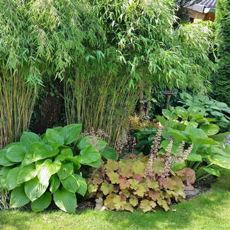 Worauf es bei standort, pflanzen und pflege ankommt. 16+ Gartengestaltung Mit Bambus Und Gräsern - Garten ...