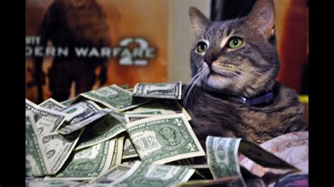 Choose quality, download a cat! Money Cat! - YouTube