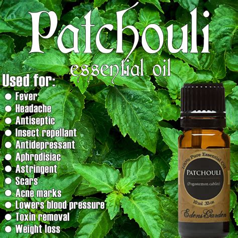 Patchouli Essential Oil Herbs Health And Happiness