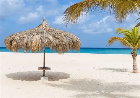 Manchebo Beach Resort And Spa Aruba All Inclusive Deals Shop Now