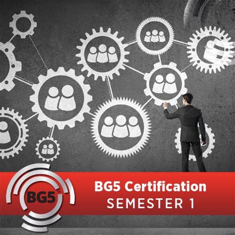 BG5 Business Consultant Certification Program – Semester 1 with Laveena
