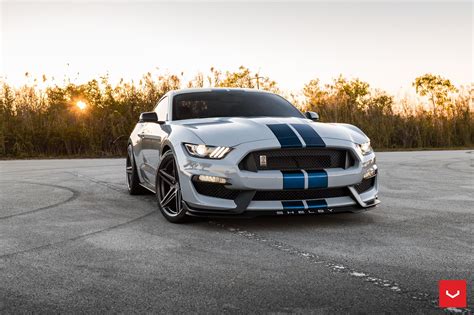 Blue Stripes Reveal The Sporty Character Of Gray Ford Mustang Shelby