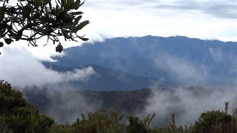 Cerro De La Muerte Costa Rica 3500 Meters Altitude Youtube