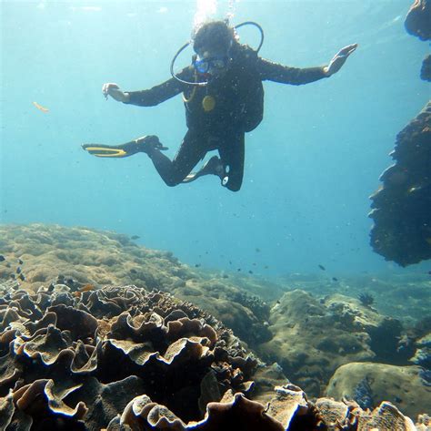 Adventure Scuba Diving Bali - Bali.com