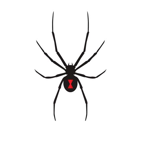 Black Widow Spider Decal Prank Your Friends Or Show Your Etsy