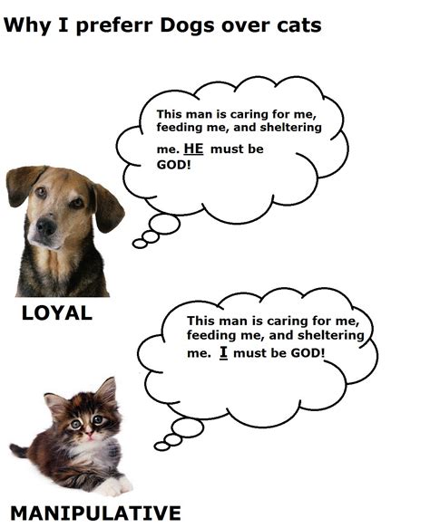 Difference Between Cats And Dogs Pic Funny