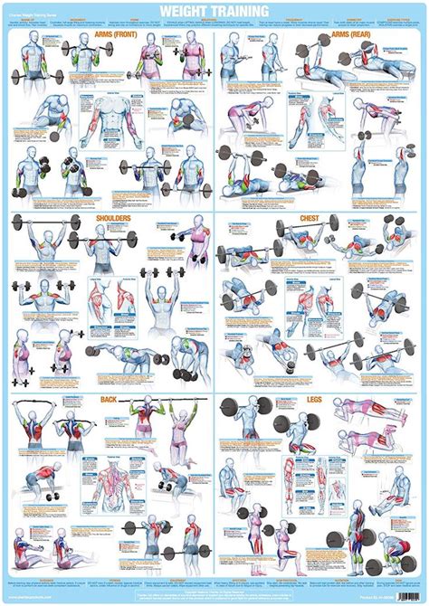 Bodybuilding Posters Weight Training Charts Weight Training Workouts