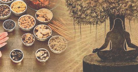 10 Wonderful Health Benefits Of Ayurvedic Herbs For Healthy Lifestyle