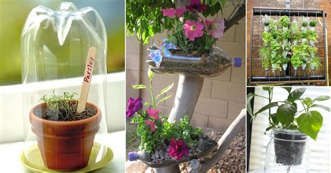 16 Genius Things To Do In Garden With Soda Bottles Plastic Bottle Ideas