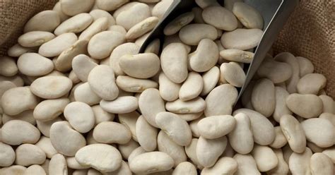 May 06, 2021 · cook frozen lima beans in the microwave for 8 minutes. How to Cook Old-Fashioned Dry Lima Beans | LIVESTRONG.COM