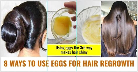8 Ways To Use Eggs For Hair Regrowth