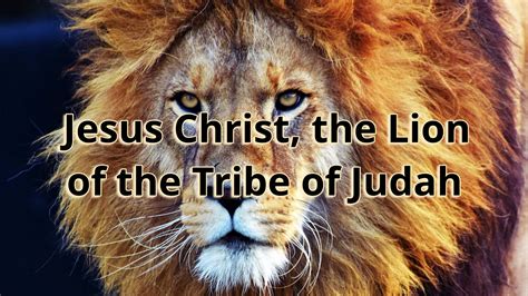 Jesus Christ The Lion Of The Tribe Of Judah Faithlife Sermons