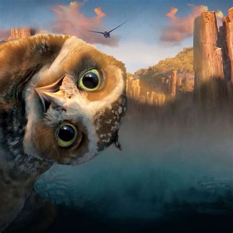 Iphone Lock Screen Owl Funny Owls Animals Beautiful