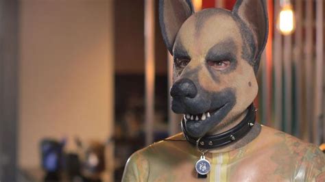 Men Who Dress Up As Dogs The Feed On Sbs Tv Delves Into Pup Fetish
