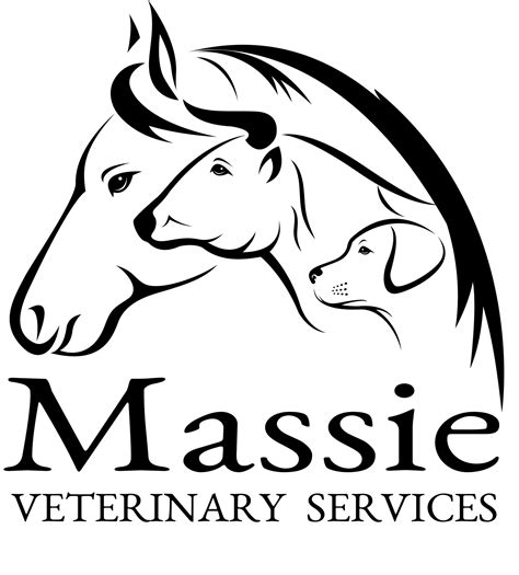 Massie Equine Veterinary Clinic And Healing Center Central Point Or