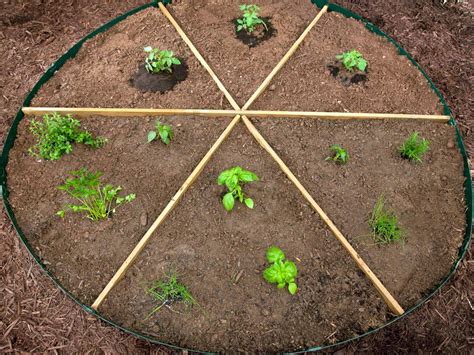 Grow Your Own Pizza Ingredients In Your Garden Hgtv