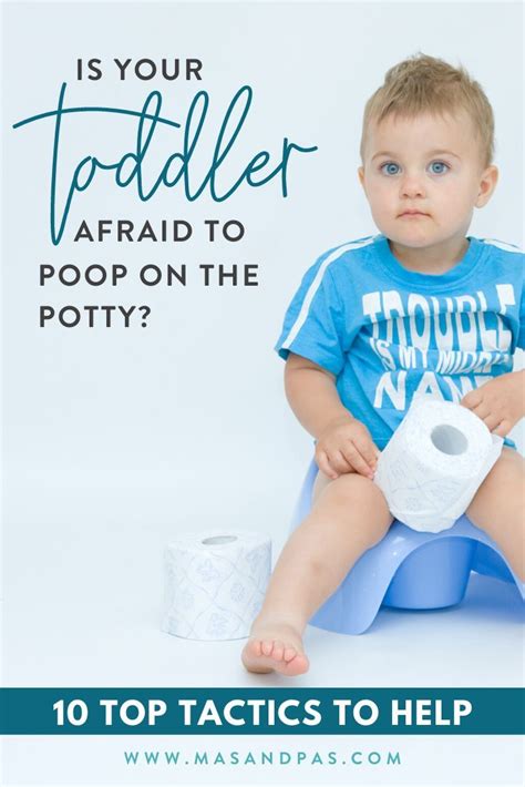 Are You Struggling With Potty Training A Toddler Who Is Scared To Poop