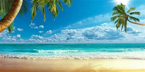 Laeacco Tropical Palms Tree Sea Beach Waves Summer Holiday Blue Sky
