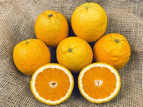 Oranges Bio Produit And Terroir Biomeup
