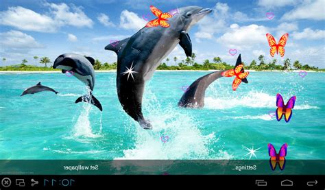 Free 3d Dolphin Live Wallpapers Apk Download For Android