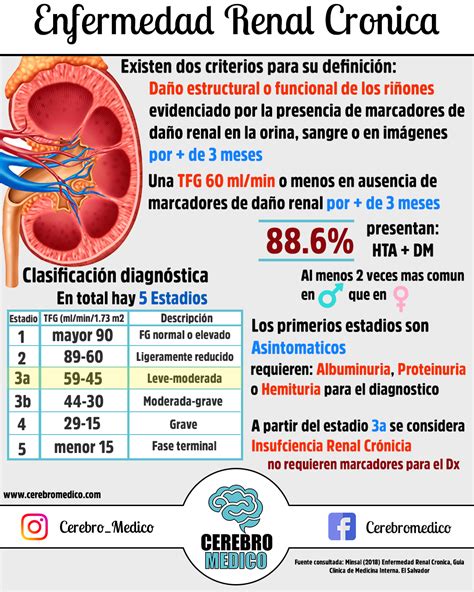 Enfermedad Renal Cronica Enfermedad Renal Cronica Apuntes De Clase