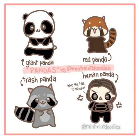 Pandas Which One Is Your Favorite Panda Giantpanda Redpanda