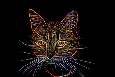 Neon Cat One Digital Art By Mo Barton
