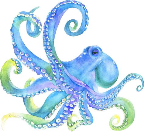 Watercolor Octopus 4 Wall Decal Blue Green Octopus Wall Etsy