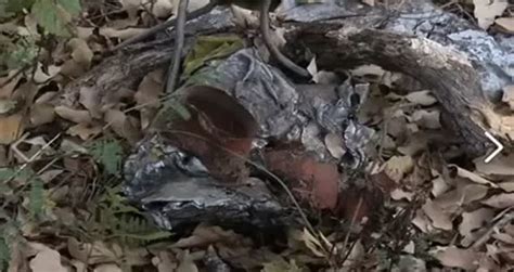 Graphic Images New Video Of The Wreckage Jenni Rivera Videos Metatube