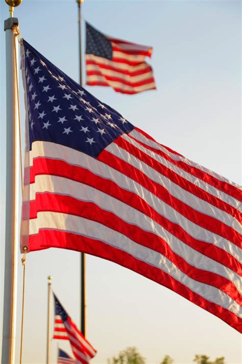 무료 이미지 웨이브 나는 국가 군 빨간 기치 미국 국기 자유 위엄 있는 세상에 알리다 전국의 기념물 미국 사람 애국자 문 상태 정부 단합