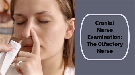 Cranial Nerve Examination Cn 1 Olfactory Nerve Youtube