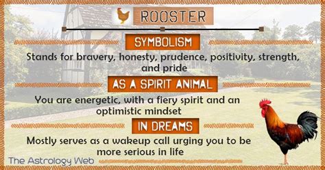 Rooster Meaning And Symbolism The Astrology Web Spirit Animal